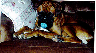 Zeus and his dummy