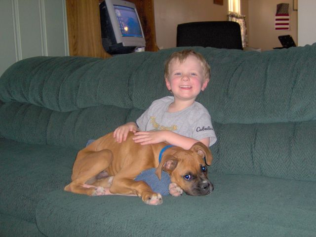 Zeus and Holden