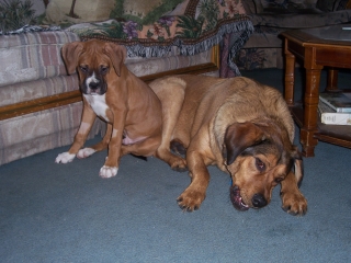 Zeus and Randy