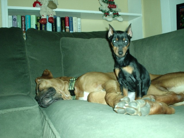 Zeus and Roxy