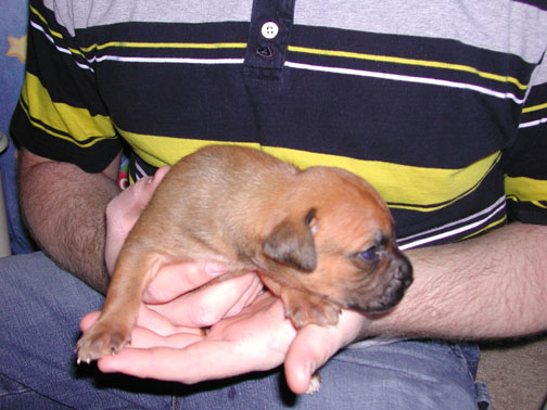 Zeus at 3 weeks old