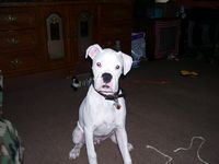 zeus