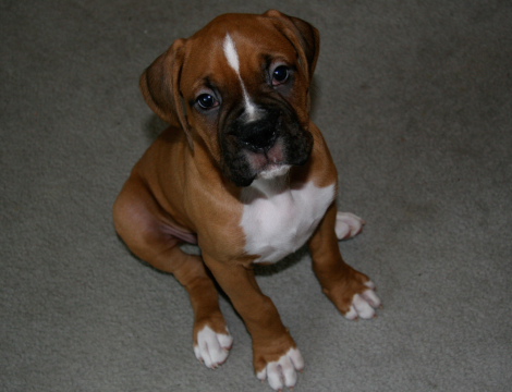 Zeus014