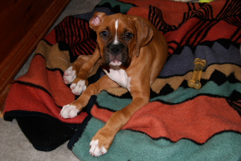 Zeus021