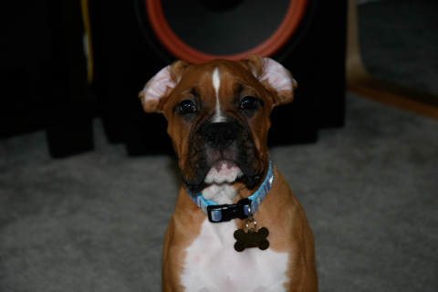 Zeus023