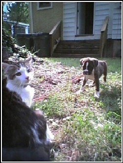 Ziggy and Phife