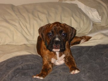 Zoe 10 Weeks