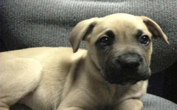 Zoe ; 7 Weeks