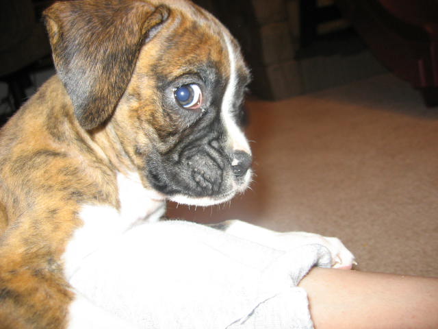 Zoe @ 8 weeks