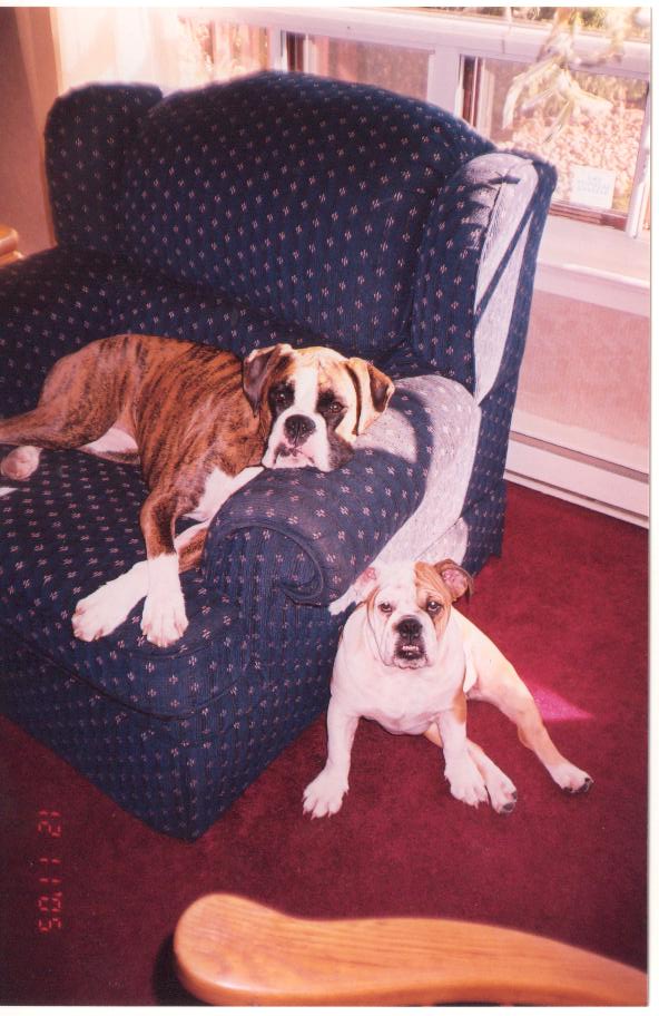 Zoe and abbie