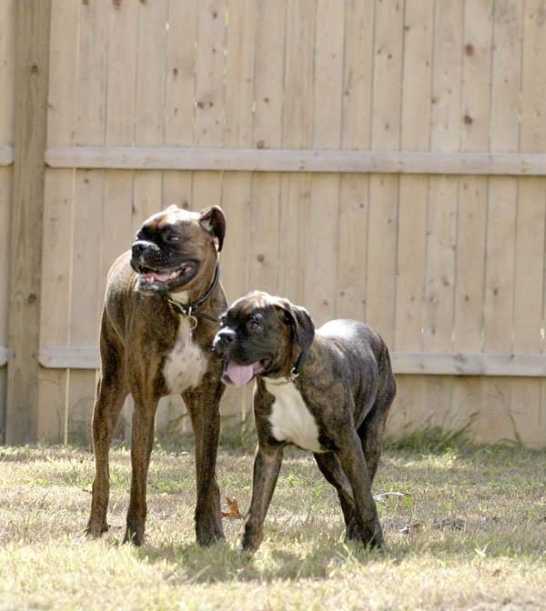 Zoe and her boyfriend Taz