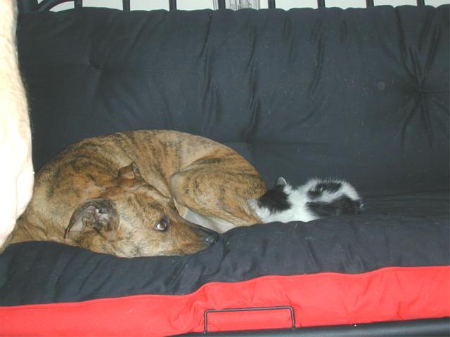 Zoe and Roxy