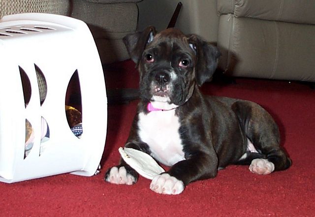 Zoe in May 05