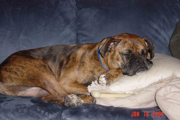 zoe_sleeping