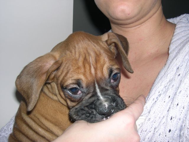 Zoe's first day home