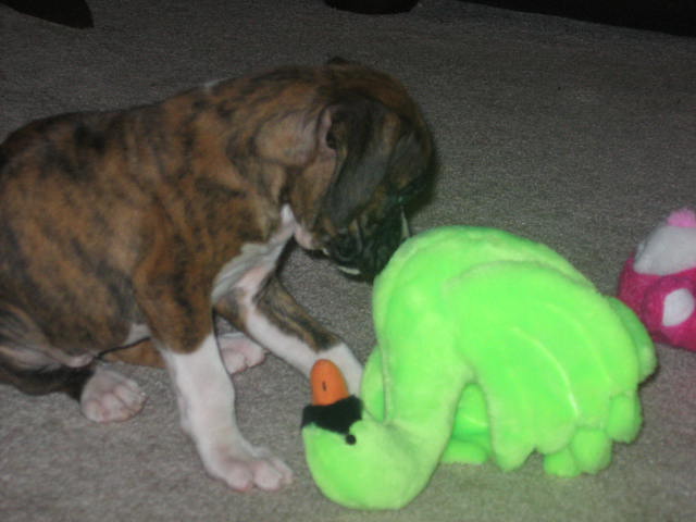 Zoe's First Day Home