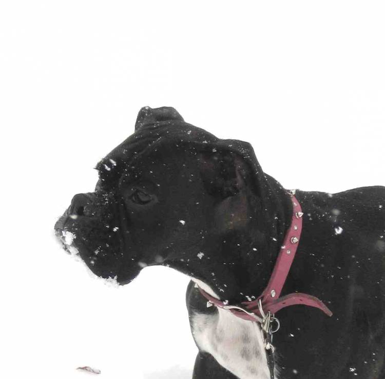 Zoey 2