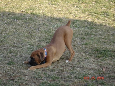 Zoey In Play Position!