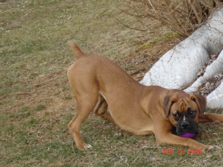 Zoey Loves To Play!