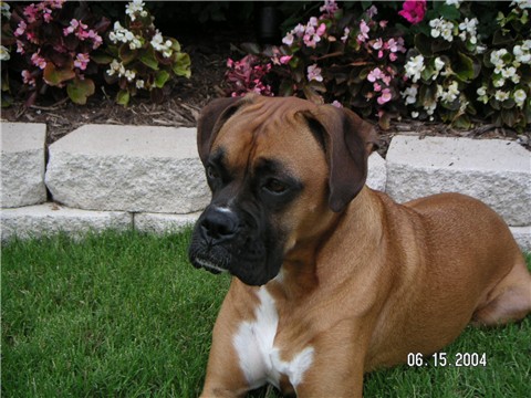 Zoey