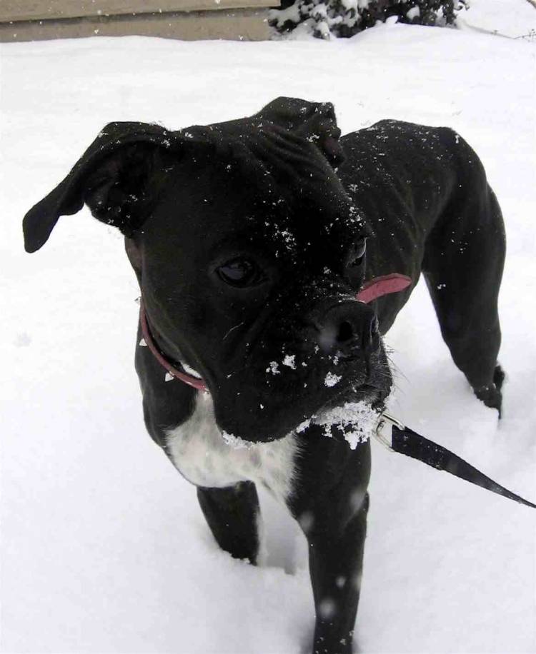 Zoey