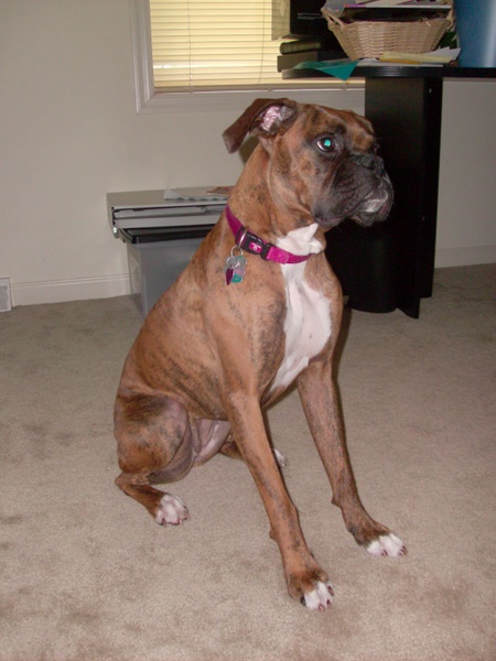 zoey