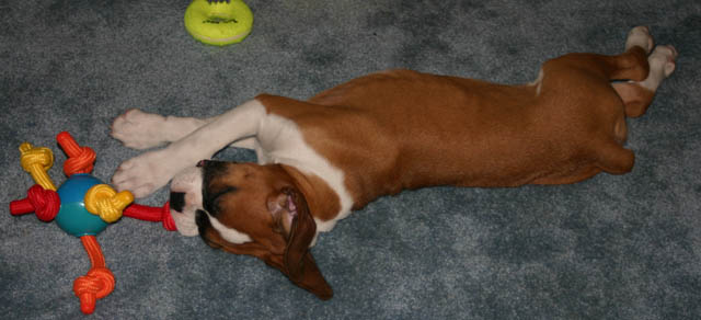 zonked out after playing