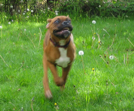 Zoom zoom zoom!!!