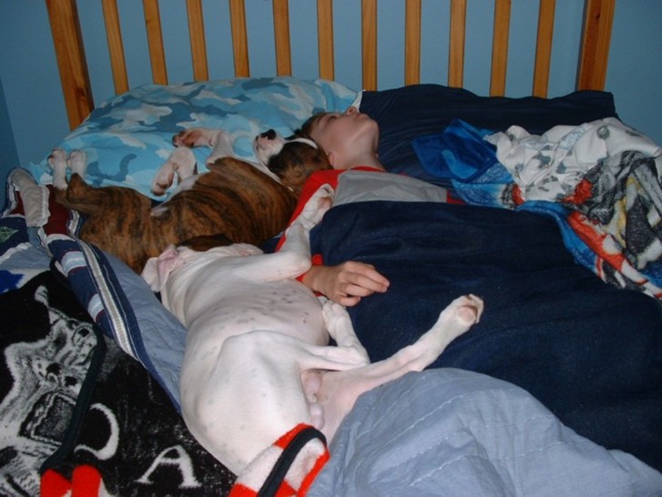 zzz...shh!...kids asleep!