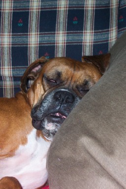 Zzzzzz