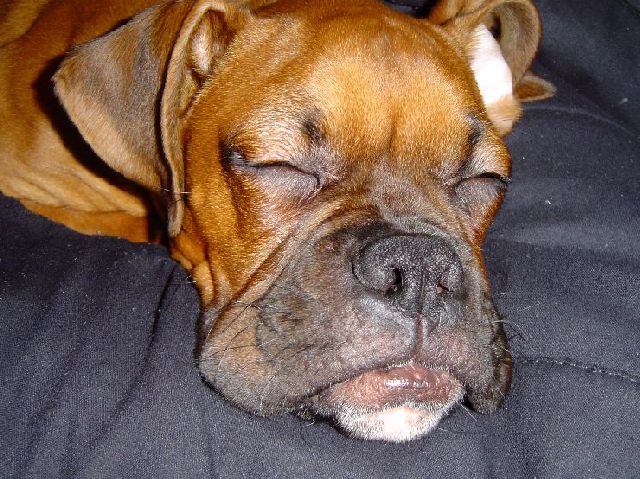 ZZZZZZ
