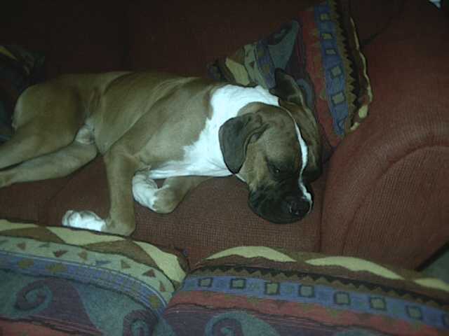 ZZZZZZ