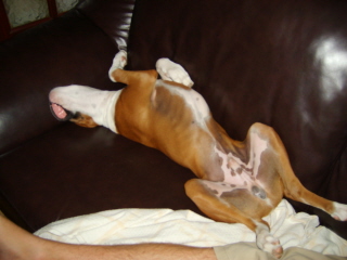 Zzzzzz