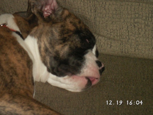 ZZZZZZ
