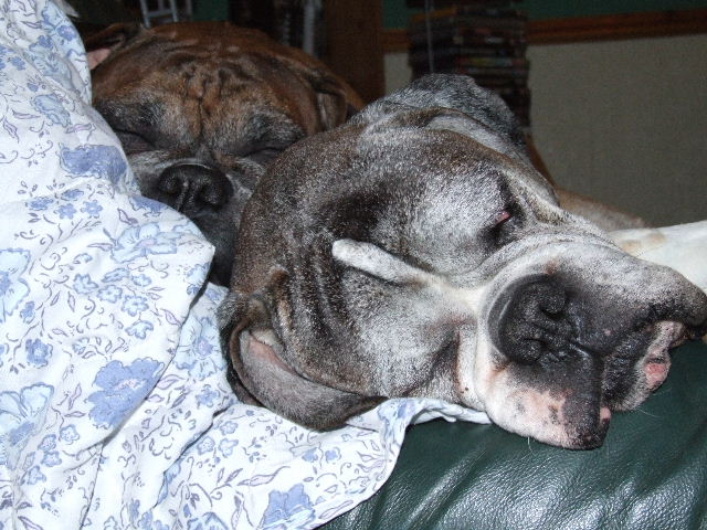 Zzzzzz1