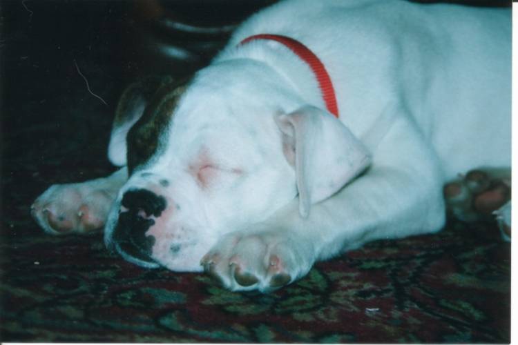 ZZZzzzz