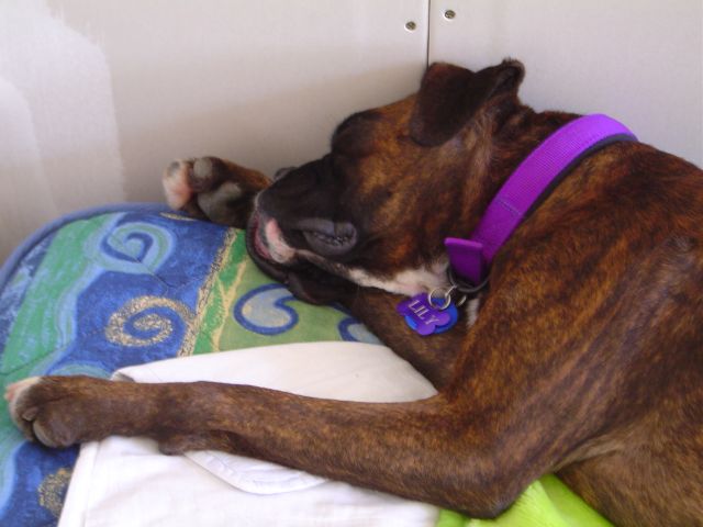 Zzzzzzz