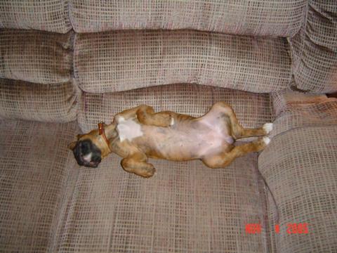 ZZZZZZZ