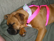 ZZZZZZZZZ