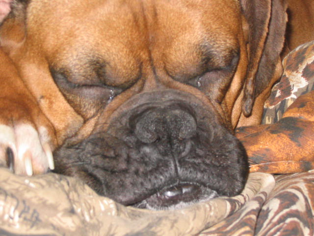 zzzzzzzzzz