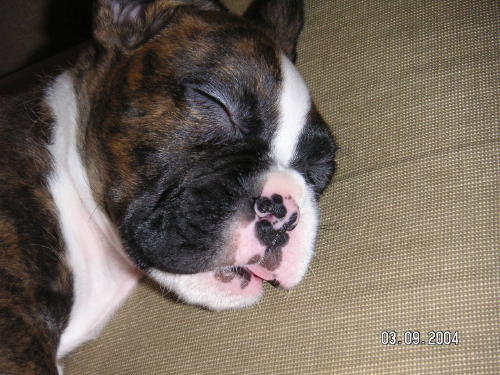......zzZZzzZZzz......