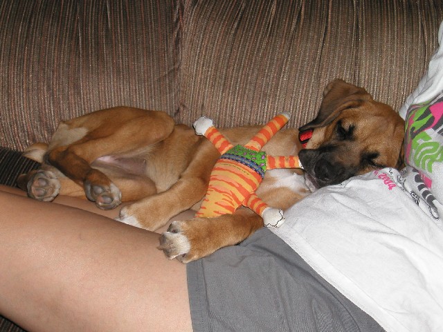 ZzzzzZzzzz...