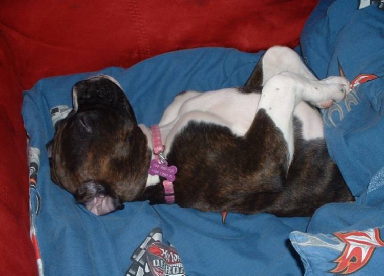 ZZZZZZZZZZZZZ