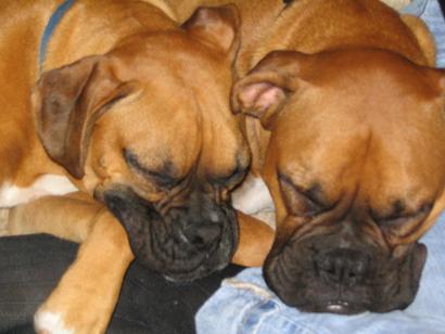 ZZZZZZZZZZZZZZ