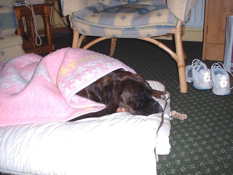 ZZZzzzzZZZZzzzzz...