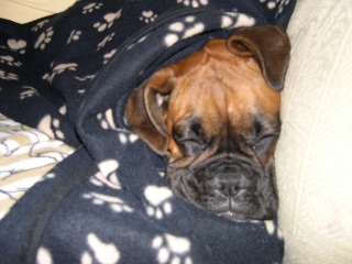 Zzzzzzzzzzzzzzzzzzzzz