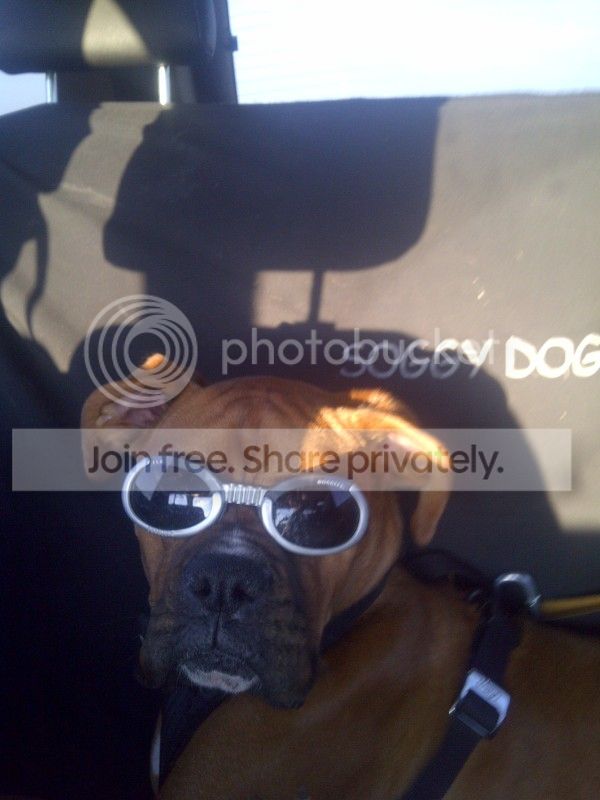 IMG-20120816-00430.jpg