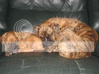 IMG_5153.jpg