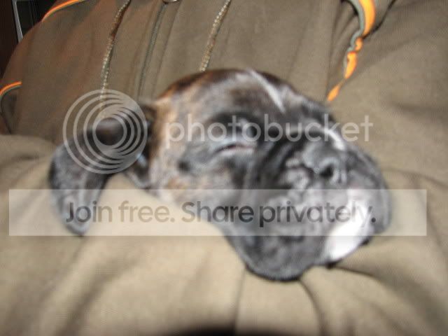 IMG_1963.jpg