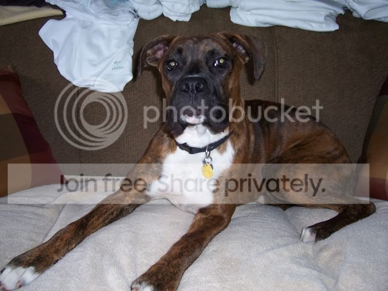 Axle7months009.jpg